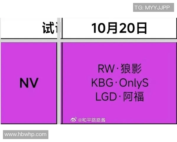esports最新数据热议和平精英LNG耐力变革引发玩家热情与期待的全新体验探讨